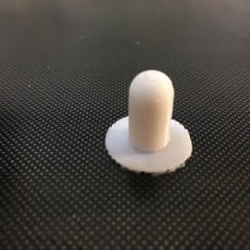 Picture of print of Apple Pencil Cap