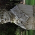 Vincenzo Camuccini at The Borghese Gardens, Rome image