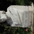 Vittorio Alfieri at The Borghese Gardens, Rome image