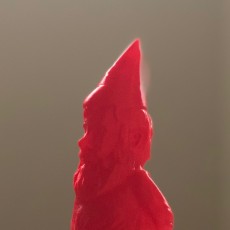 Picture of print of Garden Gnome!