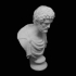 Bust of Antoninus Pius at The Louvre, Paris image