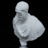 Bust of a Roman at The Louvre, Paris image