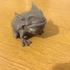 Frog Beast image