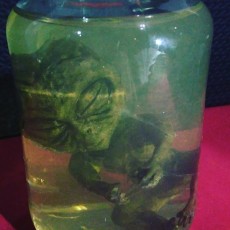 Picture of print of Alien Baby Inside A Jar This print has been uploaded by RAFAEL