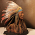 Chief Black Bird From the Rees-Jones Collection at Amon Carter Museum, Fort Worth print image