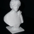 Young Gaul at The Louvre, Paris image