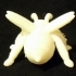 Bee (Nikoss'Insects) image