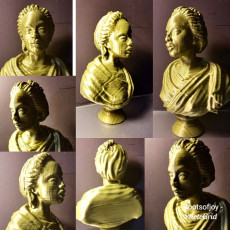 Picture of print of Bust of an African Woman at The Wallace Collection, London This print has been uploaded by CANelson