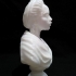 Bust of an African Woman at The Wallace Collection, London image