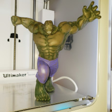 Picture of print of Hulk Statue by Fabio's Art box This print has been uploaded by Giano