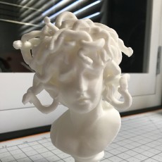 Picture of print of Bust of Medusa at The Musei Capitolini, Rome