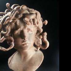 Picture of print of Bust of Medusa at The Musei Capitolini, Rome This print has been uploaded by Peter Song