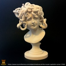 Picture of print of Bust of Medusa at The Musei Capitolini, Rome This print has been uploaded by 3DLirious