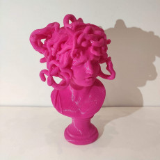 Picture of print of Bust of Medusa at The Musei Capitolini, Rome This print has been uploaded by Carlos García