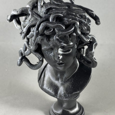 Picture of print of Bust of Medusa at The Musei Capitolini, Rome Questa stampa è stata caricata da CJ Beck