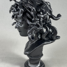Picture of print of Bust of Medusa at The Musei Capitolini, Rome