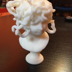 Picture of print of Bust of Medusa at The Musei Capitolini, Rome This print has been uploaded by Al R