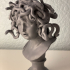 Bust of Medusa at The Musei Capitolini, Rome print image