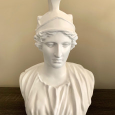 Picture of print of Athena at The Réunion des Musées Nationaux, Paris This print has been uploaded by Rick Norris