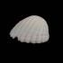 Simple Hand wash pump cover Sea Shell (unilever) image