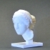 Female head, modeled from the Aphrodite of Cnidus at The Louvre, Paris image
