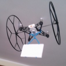 Picture of print of Support Cargo Rolling Spider