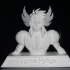 Cygnus Hyōga image