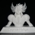 Cygnus Hyōga image
