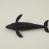 Whale Copter image