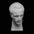 Bust of a Roman of the Republic at The Ny Carlsberg Glyptotek, Copenhagen image