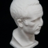 Bust of a Roman of the Republic at The Ny Carlsberg Glyptotek, Copenhagen image