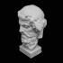 Head of Dionysos at The Ny Carlsberg Glyptotek, Copenhagen image