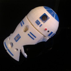 Picture of print of PARROT - R2D2
