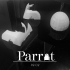 PARROT - R2D2 image