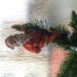 Santa Tree Hugger Ornament Christmas Decoration print image