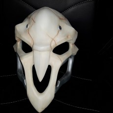 Picture of print of OverWatch's Reaper Mask!