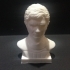 Bust of Ayrton Senna image