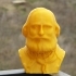 Garibaldi Bust image