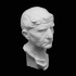 Bust of a Man at  The Getty Villa, Los Angeles image