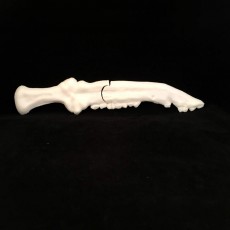 Picture of print of The First Blade