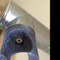 Picture of print of Shower Clip
