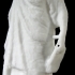 Caryatid at The State Hermitage Museum, St Petersburg image
