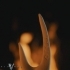 ANTLER RUNES (SEASON 4 EPISODE 1) image
