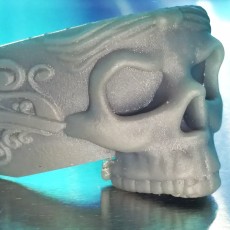 Picture of print of Skull Ring This print has been uploaded by Anthony Burdick