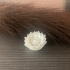 Lotus Flower Pendant print image