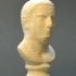 Bust of an Aged Roman at The State Hermitage Museum, St Petersburg image