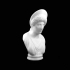 Bust of a Roman Lady at The State Hermitage Museum, St Petersburg image