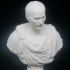 Portrait of Julius Caesar at The State Hermitage Museum, St Petersburg image