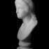 Head of Artemis at The State Hermitage Museum, St Petersburg image