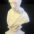 Bust of Alexander Pope at The Barber Institute, Birmingham image
